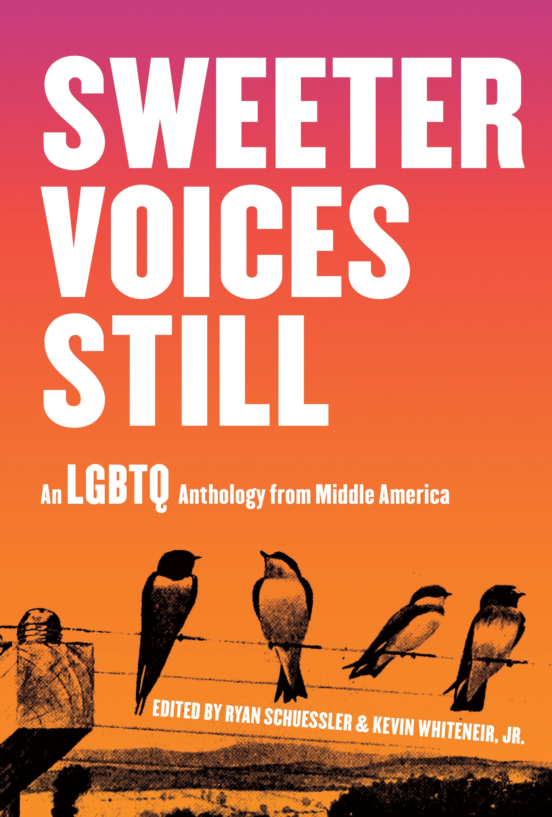 Sweeter Voices Still An LGBTQ Anthology from Middle America image