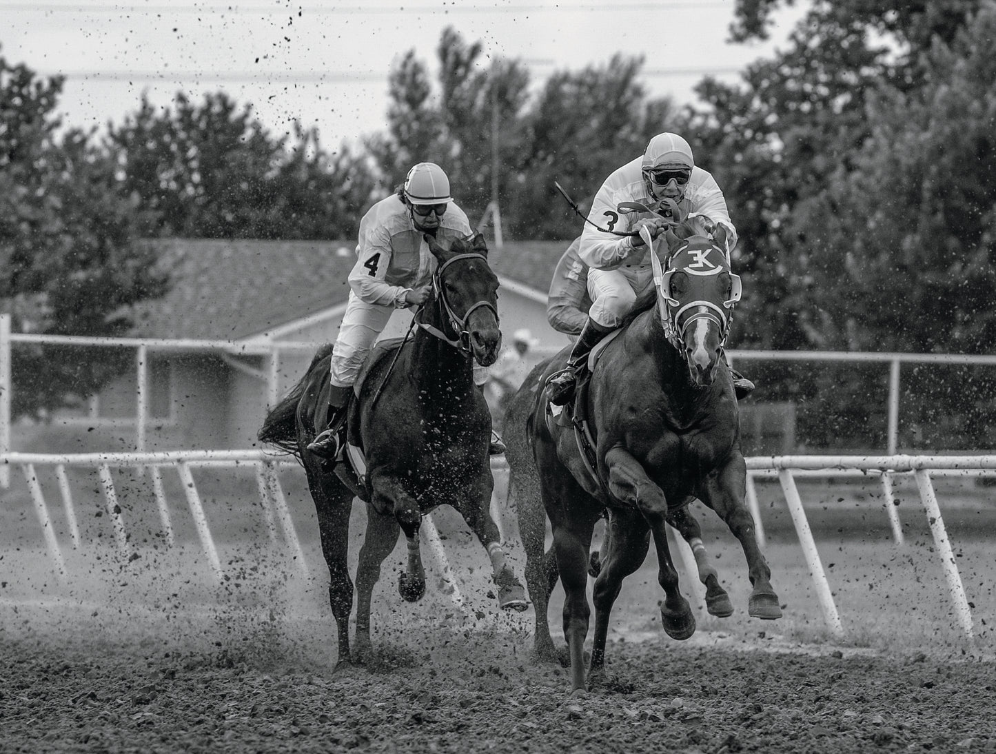 Horse Tracks