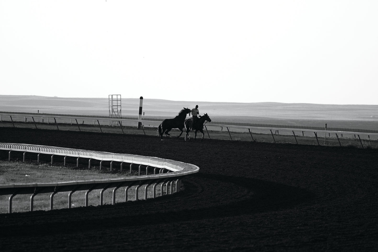 Horse Tracks